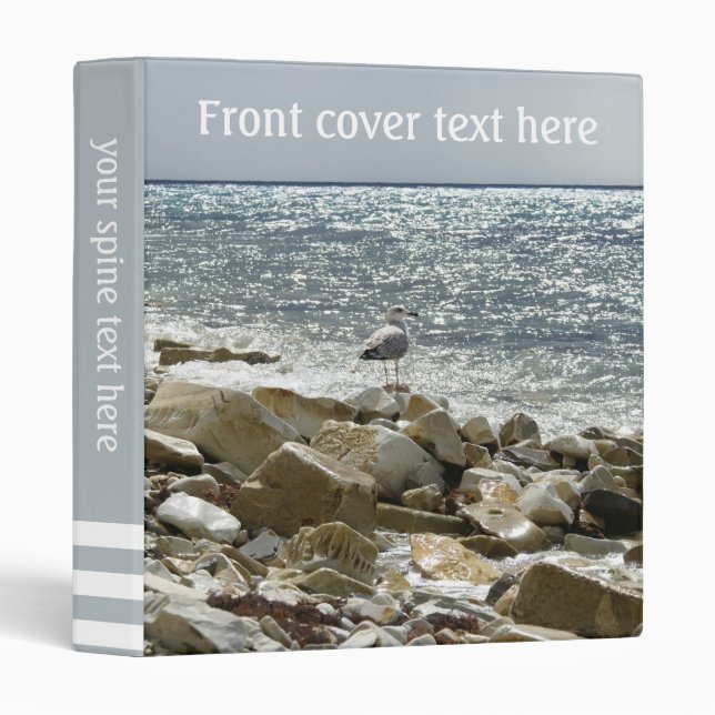 Seagull and sea binder (Front/Spine)