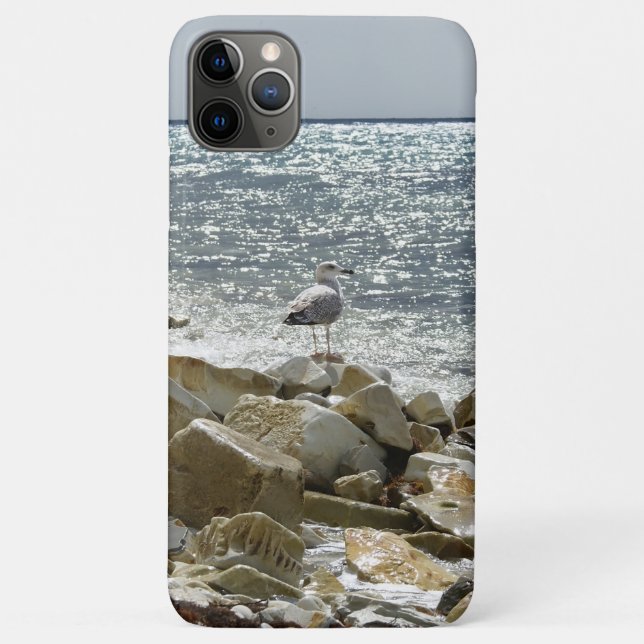 Seagull and sea Case-Mate iPhone case (Back)