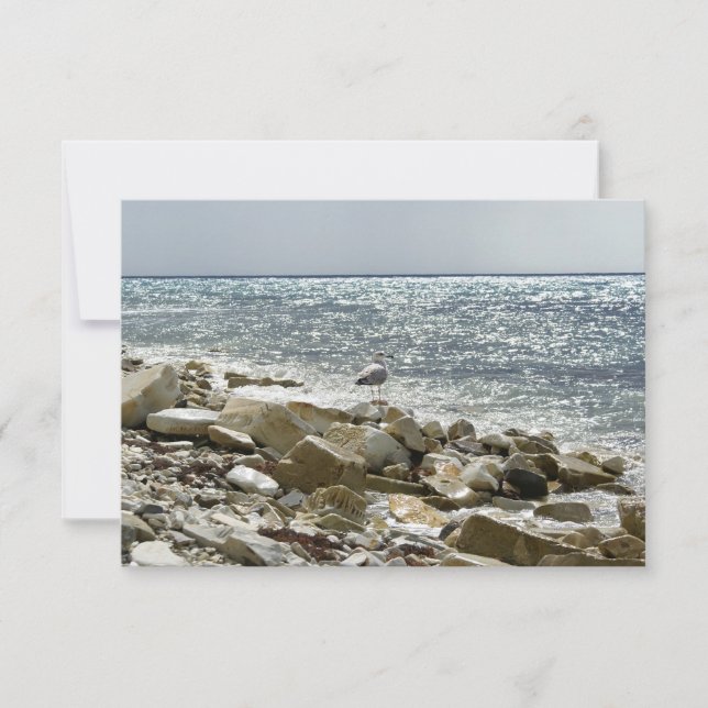 Seagull and sea RSVP card (Front)