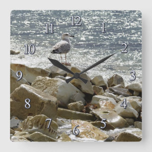 Seagull and sea square wall clock