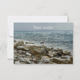 seagull and sea surf card