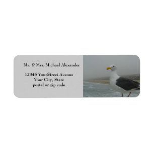 Seagull at Beach Foggy Day
