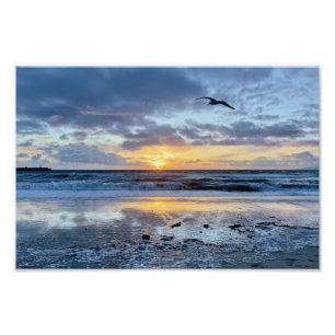 Seagull at Sunset - Venice Beach, CA Photo Print