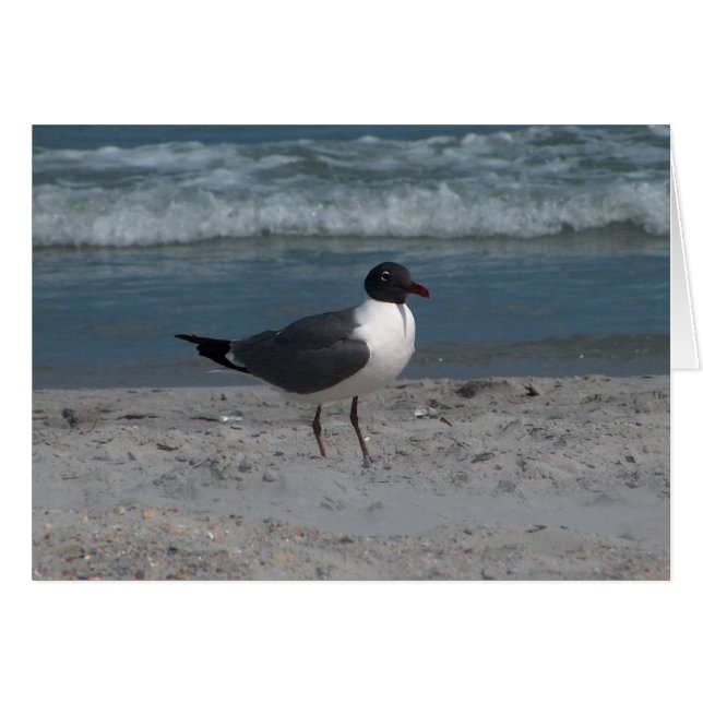 Seagull at the Beach (Front Horizontal)
