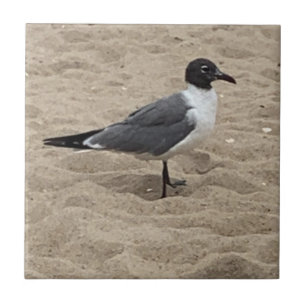 Seagull at the Beach in the Sand  Tile