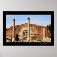 Seagull at the Forum Poster