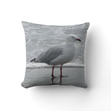 Seagull at Waters Edge