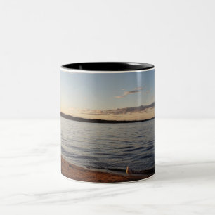 Seagull beach Coffee Mugs