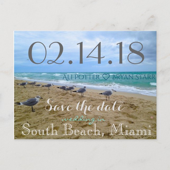 Seagull Beach Save the Date Postcard (Front)