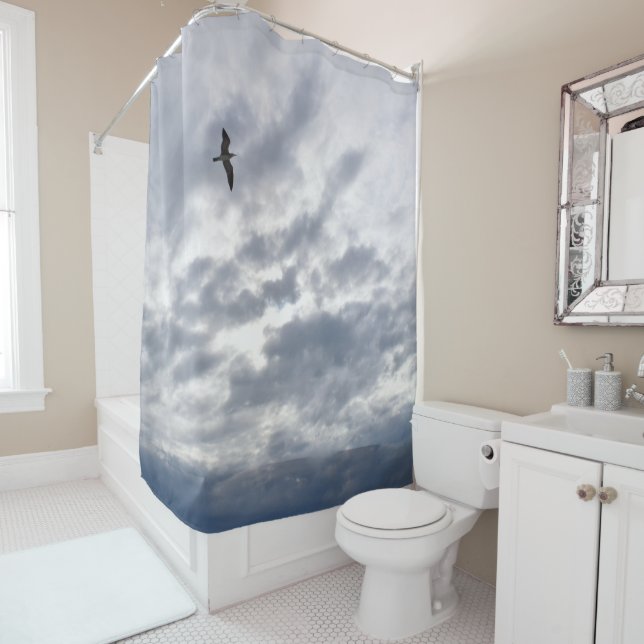 Seagull Bird flying Clouds Blue Photo 80 (In Situ)