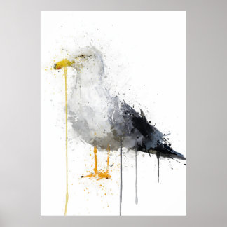 Seagull Bird Poster