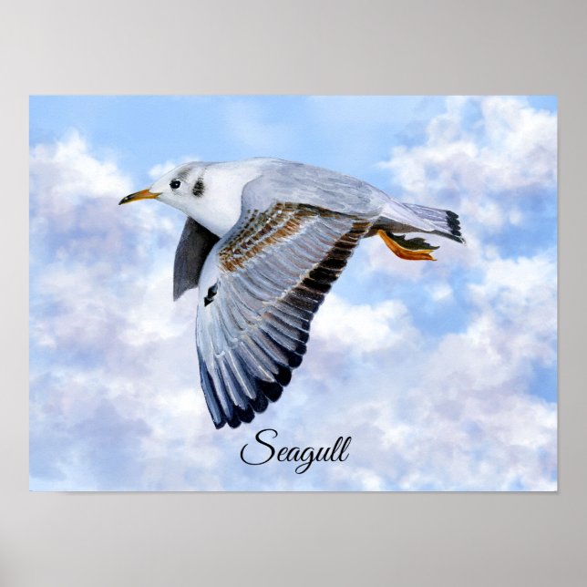 Seagull Bird Print, Value Poster Paper (Matte) (Front)