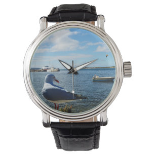 Seagull, Boats And The Ocean,   Watch