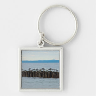 Seagull Breaktime Keychain