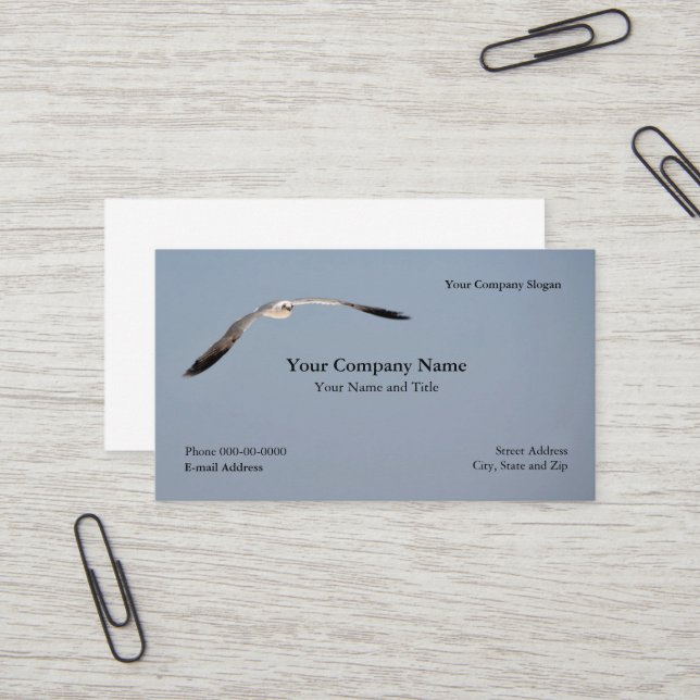 Seagull Business Card (Front/Back In Situ)