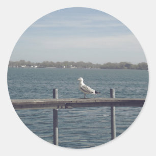 Seagull By The Lake Classic Round Sticker