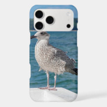 seagull by the sea iPhone Case Bird