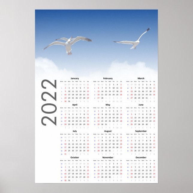Seagull Calendar 2022 Poster - Sunday first (Front)