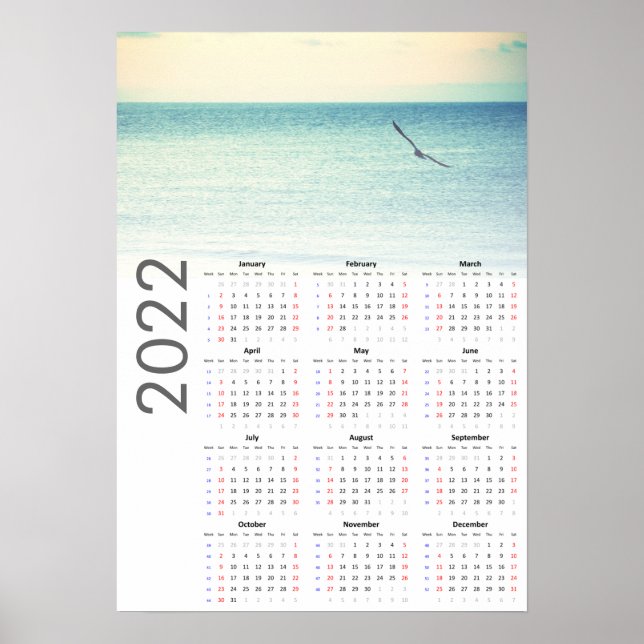 Seagull Calendar 2022 Poster - Sunday first (Front)