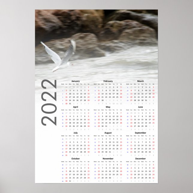 Seagull Calendar 2022 Poster - Sunday first (Front)