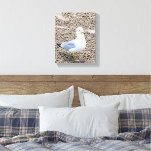 Seagull Canvas Print