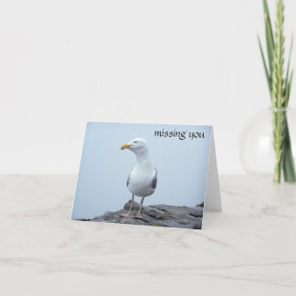 Seagull Card