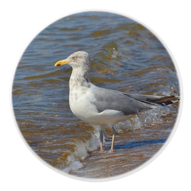Seagull Ceramic Knob (Front)