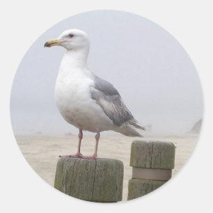 Seagull Classic Round Sticker
