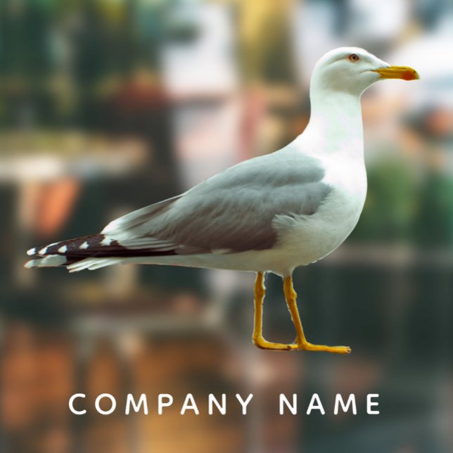 Seagull Cutout Fun Realistic Nautical Bird Custom Window Cling (Creator Uploaded)