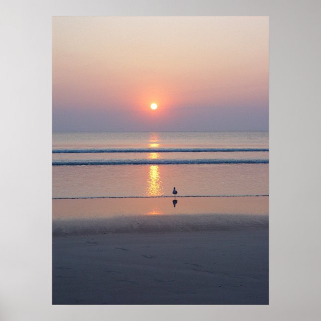 Seagull Daytona Beach FL Ocean Sunrise Poster (Front)