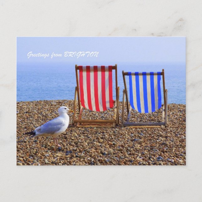 Seagull & Deckchairs Postcard (Front)