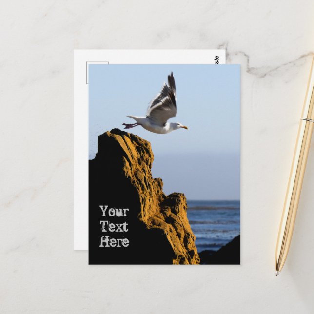 Seagull Departs  Postcard (Front/Back In Situ)