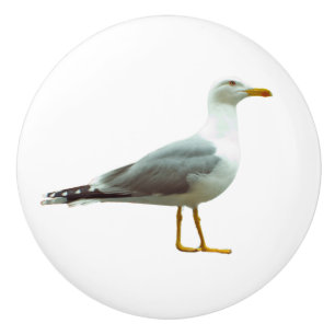 Seagull Door and Drawer Handle Ceramic Knob