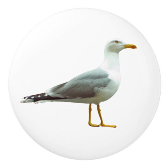 Seagull Door and Drawer Handle Ceramic Knob (Front)