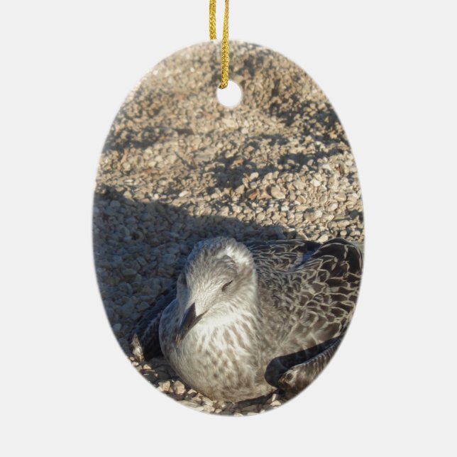 Seagull Enjoying The Sun Summer Photography Ceramic Ornament (Back)