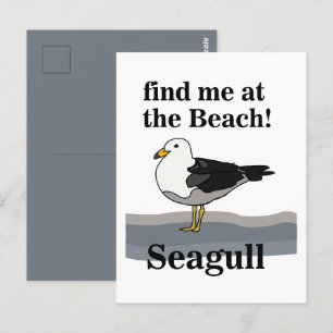 Seagull Find Me At The Beach Funny Bird Postcard