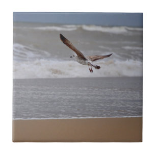 Seagull Flying over Beach toward Ocean Tile
