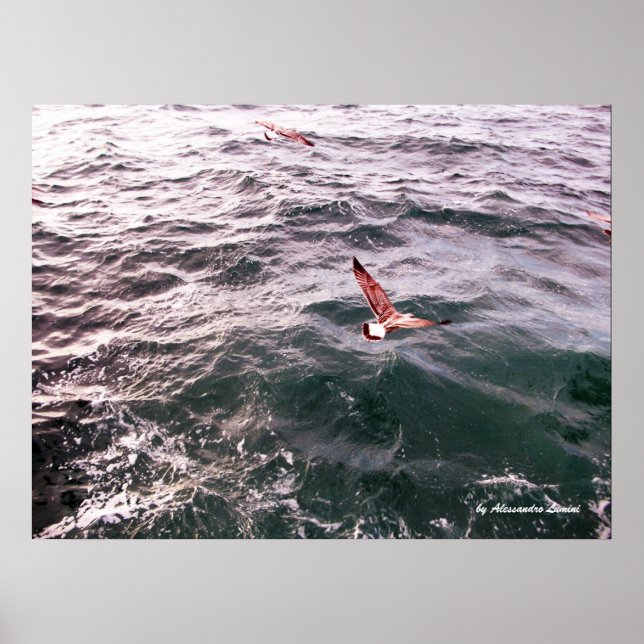 SEAGULL FLYING OVER THE WAVES POSTER (Front)