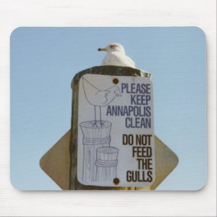 Seagull Goes Hungry Mouse Pad
