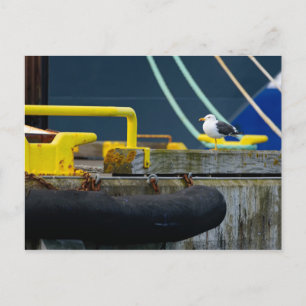 Seagull in an abstract environt postcard