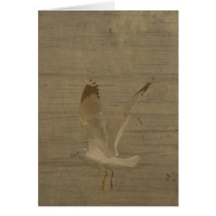 Seagull in Flight All Occasions Card