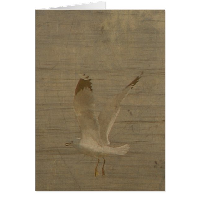 Seagull in Flight All Occasions Card (Front)
