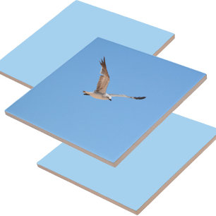 Seagull in Flight Blue Tile