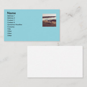 Seagull in Flight Business Cards