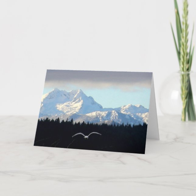 Seagull in Flight, Olympic Mountains from Silverda Card (Front)