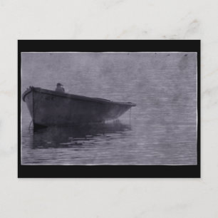 Seagull In The Mist. Postcard