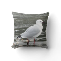 Seagull in the Sea