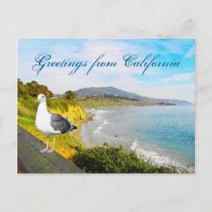 Seagull Island Postcard