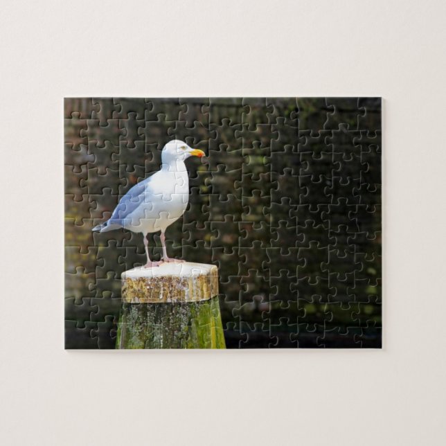 Seagull Jigsaw Puzzle (Horizontal)
