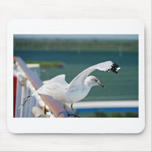 Seagull.JPG Mouse Pad
